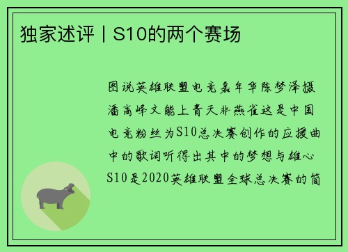 独家述评丨S10的两个赛场